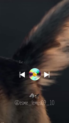 Exploring the Symbolism of Wolves and Eagles in Tattoos