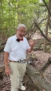 Hello everyone 😁 Today I am happy to teach you all about the Turkey Tail Mushroom! 👍 🍄‍🟫