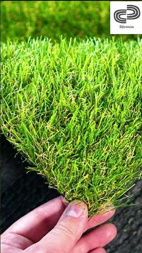 Difference between synthetic grass and artificial grass