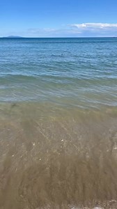 Just when I thought this summer couldn’t be more crazy. A swordfish feeding on Tuatua in Whangamatā. I thought it was freakish seeing yellowfin feeding from my kitchen window, but this shot from Cameron Ward is out the gate. Swordfish Mojo ITM Fishing NZ Fishing News Ultimate Fishing Stuff | Matt Watson