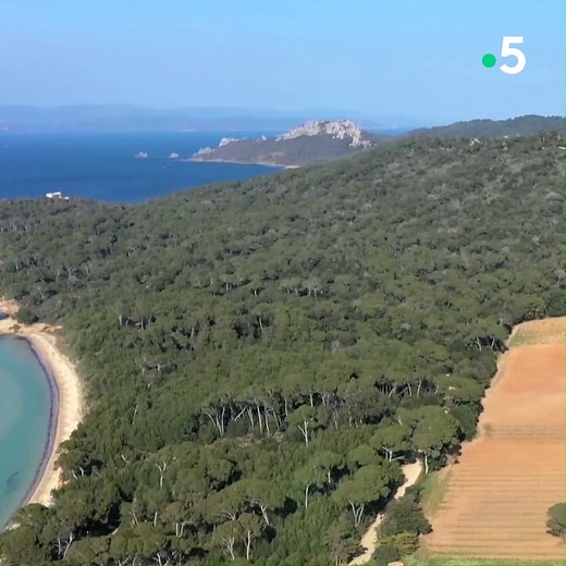L'île de Porquerolles regorge de trésors à découvrir Ismaël Khelifa Officiel vous emmène visiter les îles de la Méditerranée samedi à 20h50 sur France 5 Et retrouvez Echappées Belles sur france.tv ➡ bit.ly/EchappeesBellesReplay | Echappées Belles