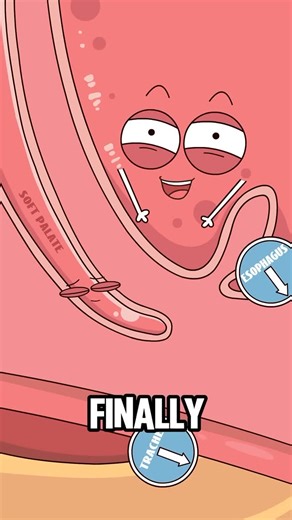 Crave | Why do you snore when you sleep? | Instagram