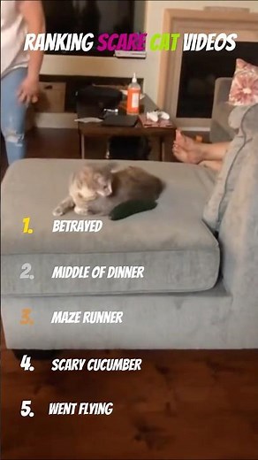 Cats Freaking Out Over Cucumbers 😹🥒 | Funniest Cat Reactions Ever