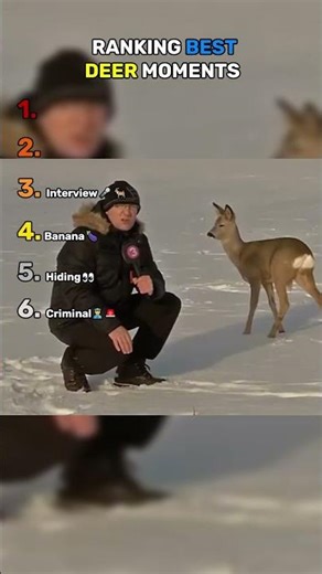 Ranking Best Deer Moments 🦌 | Funny Animal Videos #shorts #viral