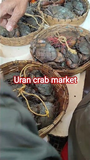 panvel uran crab market