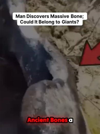 Man Discovers Massive Bone; Could It Belong to Giants?😱👀😱 This excavation is seriously shaking up history books! A hiker unearthed a colossal bone—too big for any known modern animal. Are we looking at evidence of an unknown prehistoric beast, or is the whisper of ancient giants finally finding physical proof? The debate is absolutely heating up as experts try to identify this massive relic pulled straight from the earth. What's your verdict on this baffling find? #ancientdiscovery #massivebo