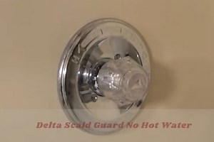 Why Delta Scald Guard No Hot Water [Reasons   Solutions]