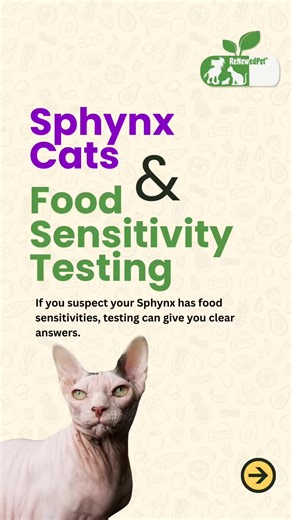 Pet Coach April here - If your cat is struggling with mysterious symptoms like itching, rashes, watery eyes, runny nose, sneezing, hives, or chronic loose stool and diarrhea, food sensitivities could be the missing piece. This at-home cat food sensitivity/allergy test is simple, painless, and stress-free — it uses saliva, takes just a few minutes to collect, and is mailed directly to the lab. In 3–4 weeks, you receive clear results that can be life-changing in helping heal and manage your cat’s 
