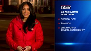 2 Denver strip clubs ordered to pay nearly $14M in back pay, penalties: auditor's office