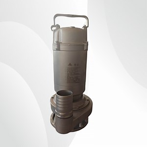 [Hot Item] Explosion Proof Wq-S Submersible Pump for Hazardous Areas Submersible Pump