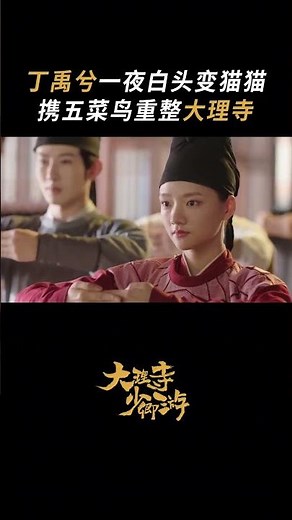 #大理寺少卿游 神都疑案扑朔诡谲，皆由猫猫带队一一化解 #丁禹兮 #周奇 #魏哲鸣 | White Cat Legend | 大理寺少卿游 | iQIYI