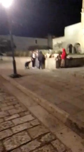 Comerciantes y su líder Yolanda Ortega García golpean brutalmente a una menor triqui desplazada de San Juan Copala. En la noche del día martes ocurrió un acto de cobardía y violencia absoluta en pleno Centro Histórico de Oaxaca. Un grupo de comerciantes, encabezados por su líder Yolanda Ortega García, agredió brutalmente a una menor de edad triqui desplazada de San Juan Copala, en un ataque que revela —sin máscaras— el clima de impunidad que reina en la ciudad. La niña forma parte de una familia