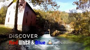 69K views · 868 reactions | Celebrate Independence Day by discovering...