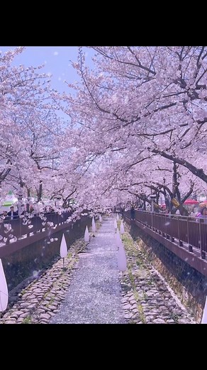 Spring is the perfect time to travel, as nature awakens and landscapes burst into color, offering a refreshing escape from the winter chill. | Wanderlust Travel and Tours