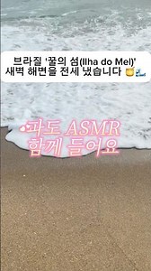 브라질 '꿀의 섬' 새벽 해변을 전세 냈습니다 🍯🌊 [ASMR] #shortsvideo #바다 #여행