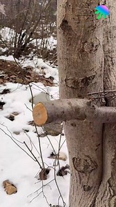 1.6M views · 4.7K reactions | Camping Emergency Cup | Genius Inventions | Facebook