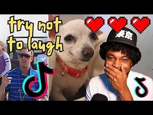 3 Hours Of CoryxKenshin’s FUNNIEST Try Not To Laugh Clips 🤣😆