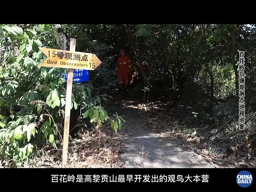 百花岭：中国五星级观鸟圣地