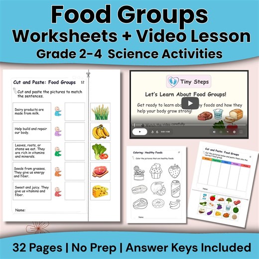 Food Groups Worksheets | Printable Activities for Kindergarten | Healthy Eating Unit | PDF + Video Lesson - Etsy