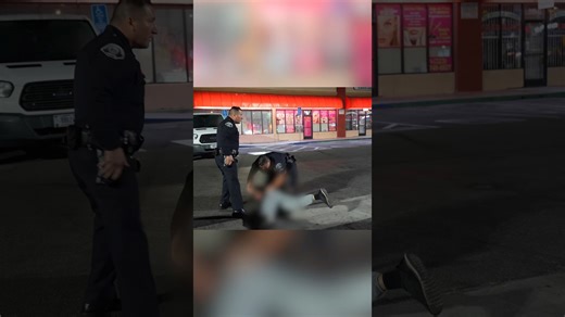 Police stop criminal during foot pursuit