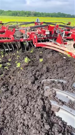 Innovations in USA Agriculture: A Closer Look