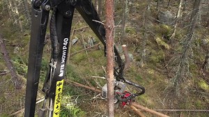 More Log Max 928A! Our smallest family member, here mounted one a Malwa 560H. It's the smallest and lightest head in its class on the market and with a total weight of only 412 kg, it fits smaller carriers that are specially adapted for thinning. If you want to read more about Log Max 928 go to our website, www.logmax.com or contact your local dealer. | Log Max