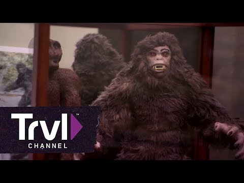 Cryptozoology Museum | Travel Channel