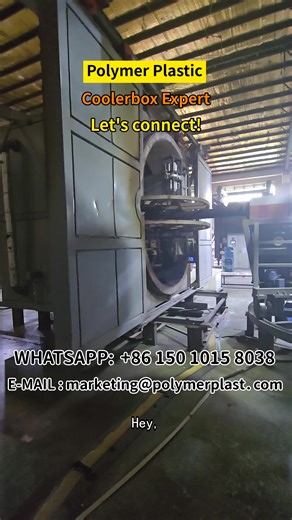 Polymer, a leading cooler box manufacturer in Asia-Pacific, has over 30 years in cooler box production and customization. Producing items like cooler boxes, its products are of high quality. How does it succeed? Let's analyze. #focusoncoolerODM #focusonhardcoolerprofessionalcustomizeservice #majorIncubatorODM #majorhardcoolerprofessionalcustomizeservice #coolerboxOEM