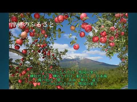 木村好夫～ギターが奏でる歌謡曲～2