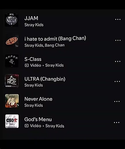 Han Ji Sung: The Charismatic Star of Stray Kids