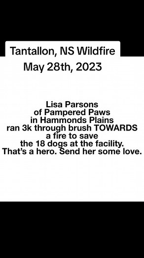 oh im so proud of Lisa, and so happy to hear about these dogs beubg saved. There's so many displaced pets as police wouldn't let people back to their homes to let them out. in some cases the police opened doors in hopes pets would flee but the pet situation here is really bad 💔😭 #novascotia #novascotiafire #tantallon #wildfire #forestfire #VikingRise