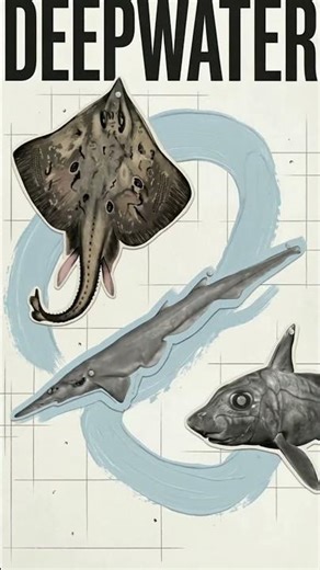 Alien Fish Found in the Coral Sea?! 🐟👽