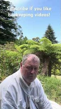 Join Me On This Beekeeping Journey 🐝