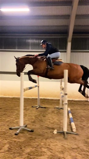 Amazing Horse Jumps at ChamoniePKJ