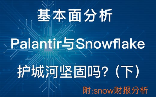 [第23期]基本面分析，Palantir与Snowflake的护城河坚固吗？(下)