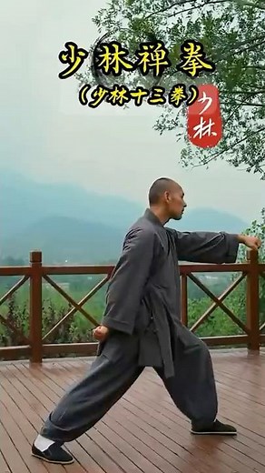 Shaolin Chan Fist 少林禪拳| Shaolin Thirteen Fist 少林十三拳 #shaolinkungfu #martialarts #少林禪拳 #少林十三拳