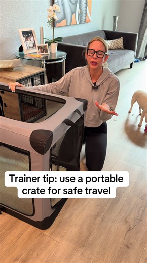 Portable travel crate that does it all Three different entry points for easy access Washable pad for comfort and clean up Collapsible design makes storage effortless #dogtravel #dogcrate #petessentials #dogmomlife #travelwithdogs