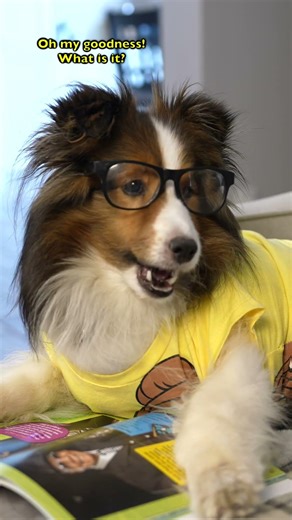 Biscuit has a science question??? e660