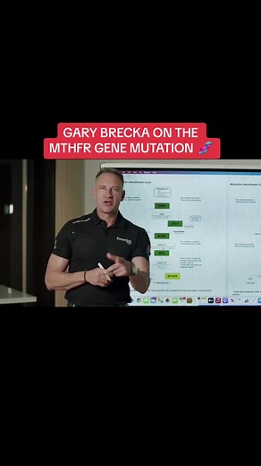 Understanding MTHFR Gene Mutation Explained by Gary Brecka