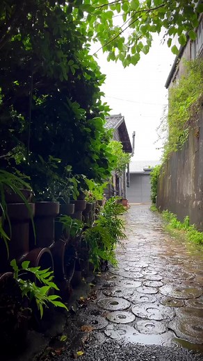 The pottery town of Tokoname in Aichi Prefecture on a rainy day. Video thanks to @hafufamily5 on Instagram. 🌧 #Japan #JapanTravel #MyJapan | JapanTravel
