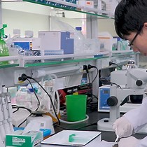 Isolation of Mouse Eyeballs for Ocular Studie | JoVE Journal