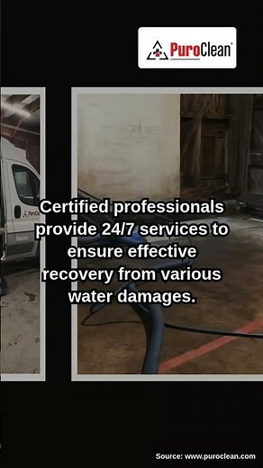 How PuroClean Tackles Water Mold and Fire Damage in Hyde Park