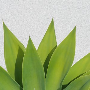 Nothing compares to the beauty and versatility of rendered facades....