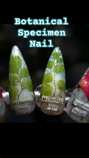 Botanical Specimen Nail Tutorial up now! Take a stroll and gather some tiny botanicals!