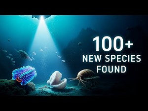 Hidden Worlds Revealed: 100+ New Ocean Species Discovered in the Deep Sea