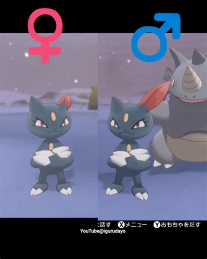 ♂️♀️見た目の違うポケモン比較！#pokemon #pokemonswordshield #ポケモン剣盾