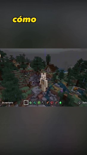 TikTok - Make Your Day