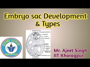 Embryo Sac Development II Embryo Sac Types (Lec-05)
