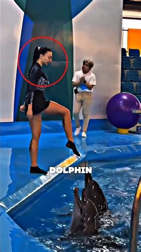 Dolphin Stunt Gone Wrong