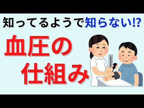 【15分で解説】血圧の仕組みについて解説
